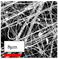 Polymers 17 03019 i174