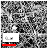 Polymers 17 03019 i175