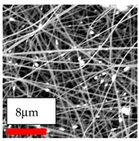 Polymers 17 03019 i176