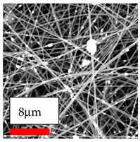 Polymers 17 03019 i177