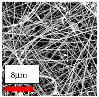 Polymers 17 03019 i178