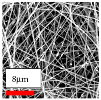 Polymers 17 03019 i180