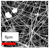 Polymers 17 03019 i181