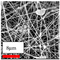 Polymers 17 03019 i182