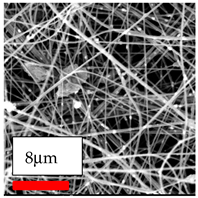 Polymers 17 03019 i183