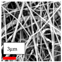 Polymers 17 03019 i185