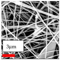 Polymers 17 03019 i186