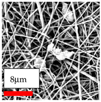 Polymers 17 03019 i187