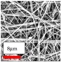 Polymers 17 03019 i188