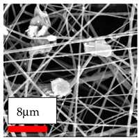 Polymers 17 03019 i189