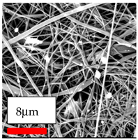 Polymers 17 03019 i190