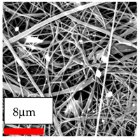 Polymers 17 03019 i191