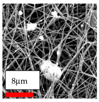 Polymers 17 03019 i192