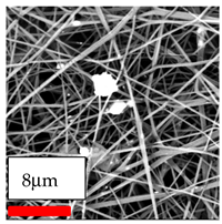 Polymers 17 03019 i193