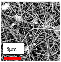 Polymers 17 03019 i194