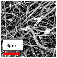 Polymers 17 03019 i196