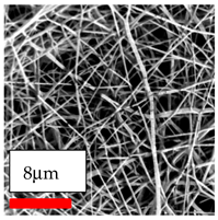 Polymers 17 03019 i197