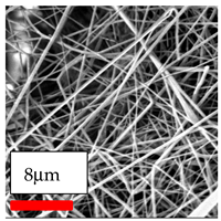 Polymers 17 03019 i199