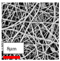 Polymers 17 03019 i200