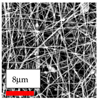 Polymers 17 03019 i201