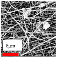 Polymers 17 03019 i202