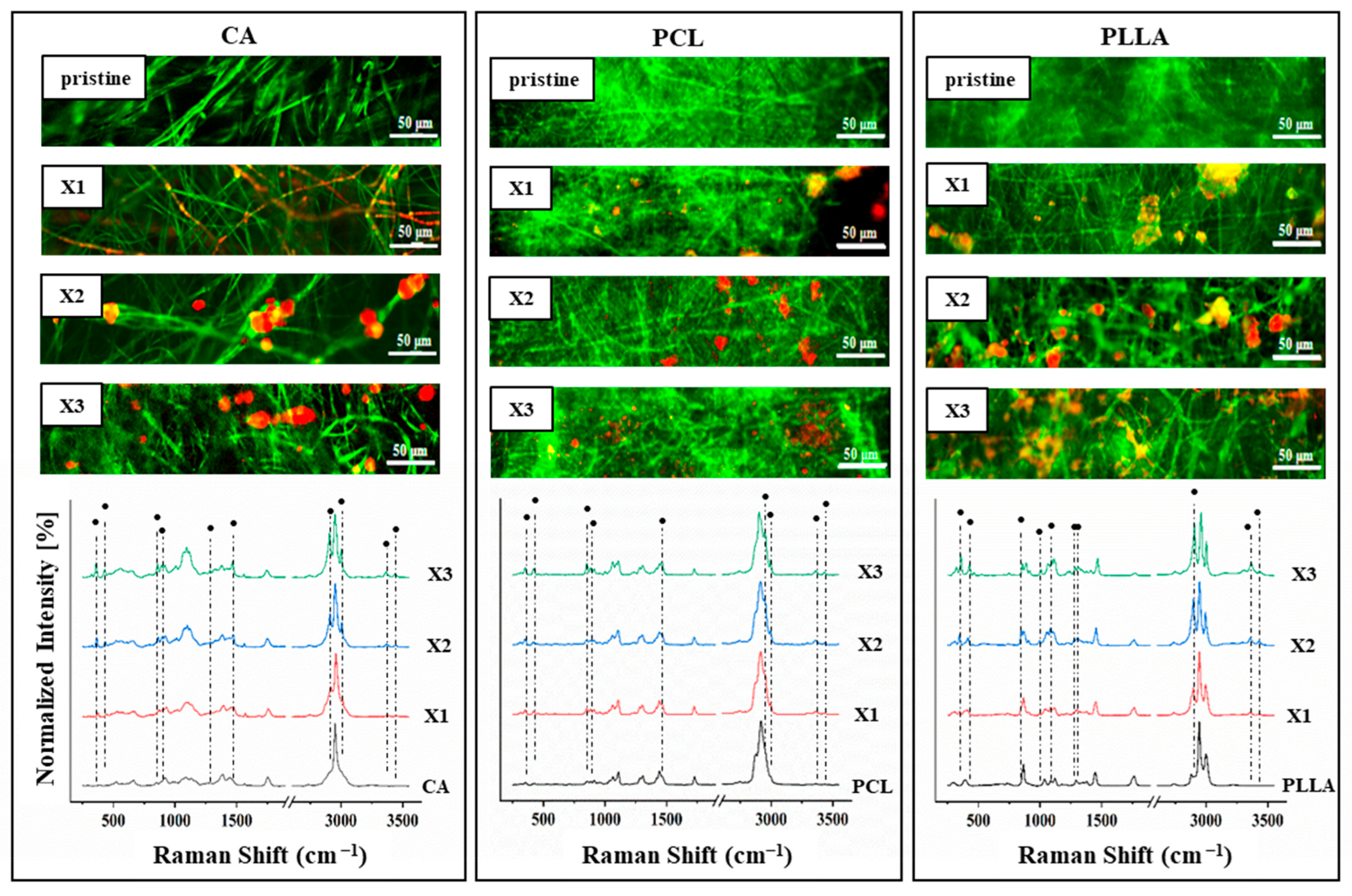 Polymers 17 03024 g004