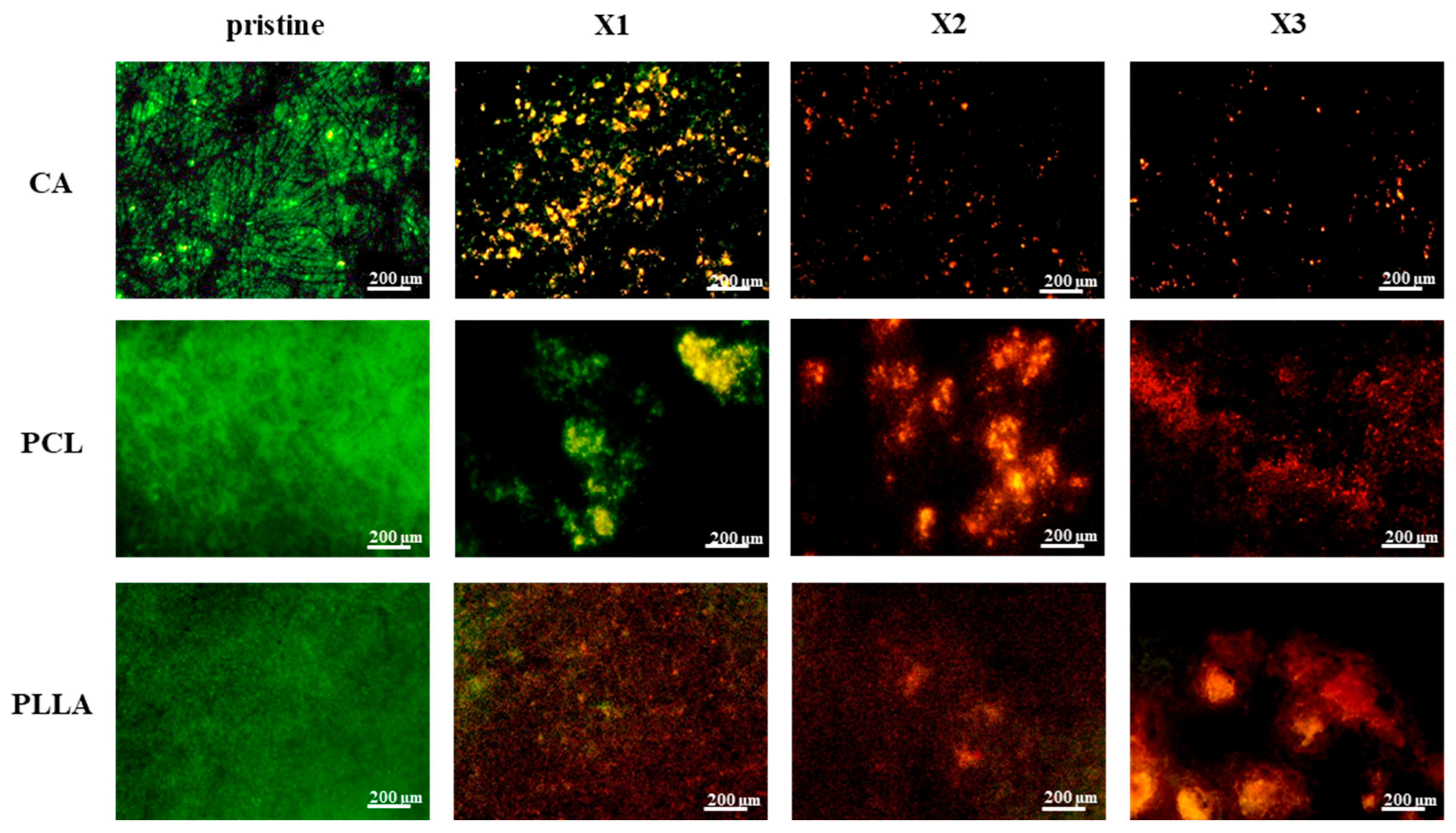 Polymers 17 03024 g008