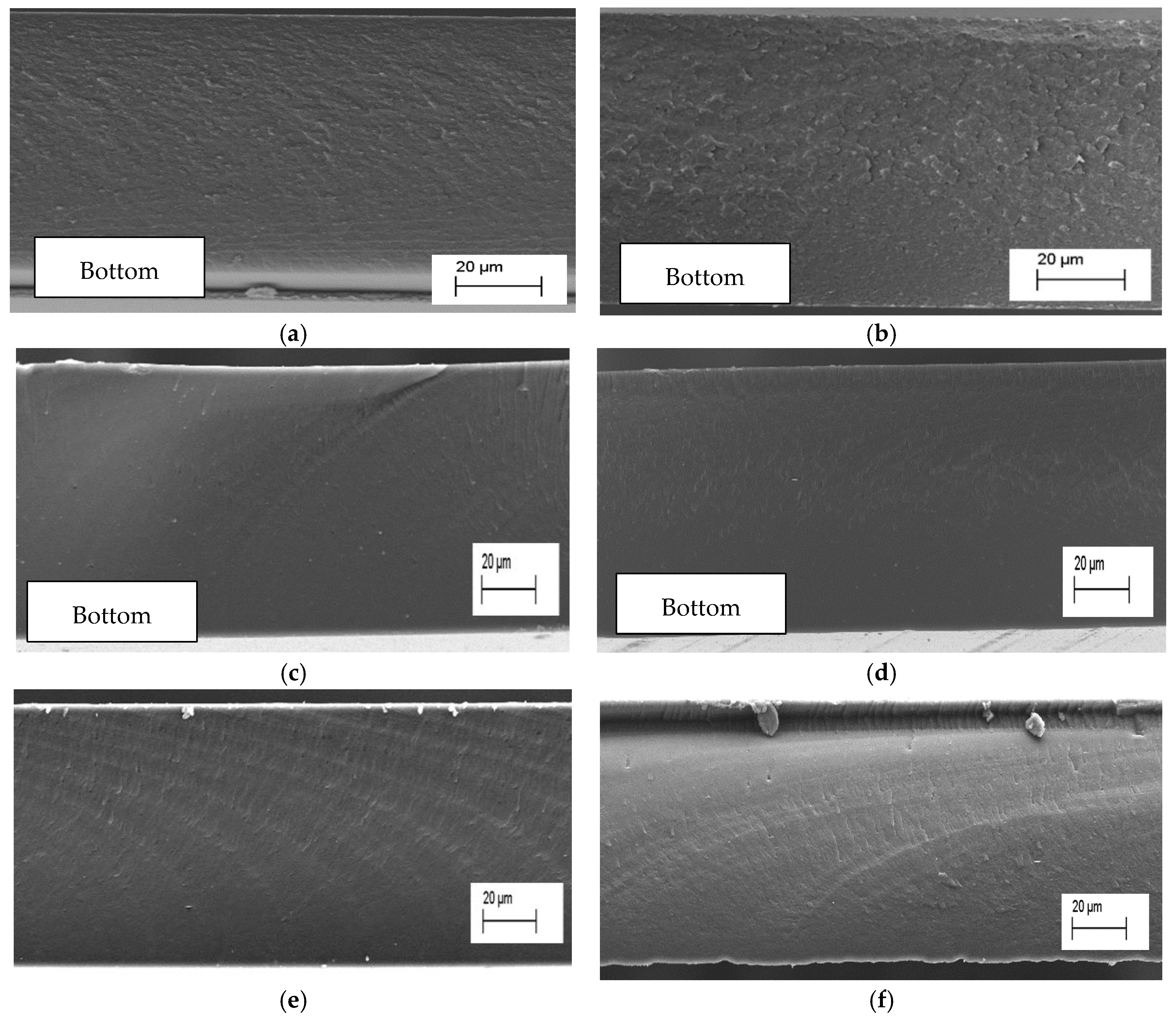 Polymers 17 03026 g004