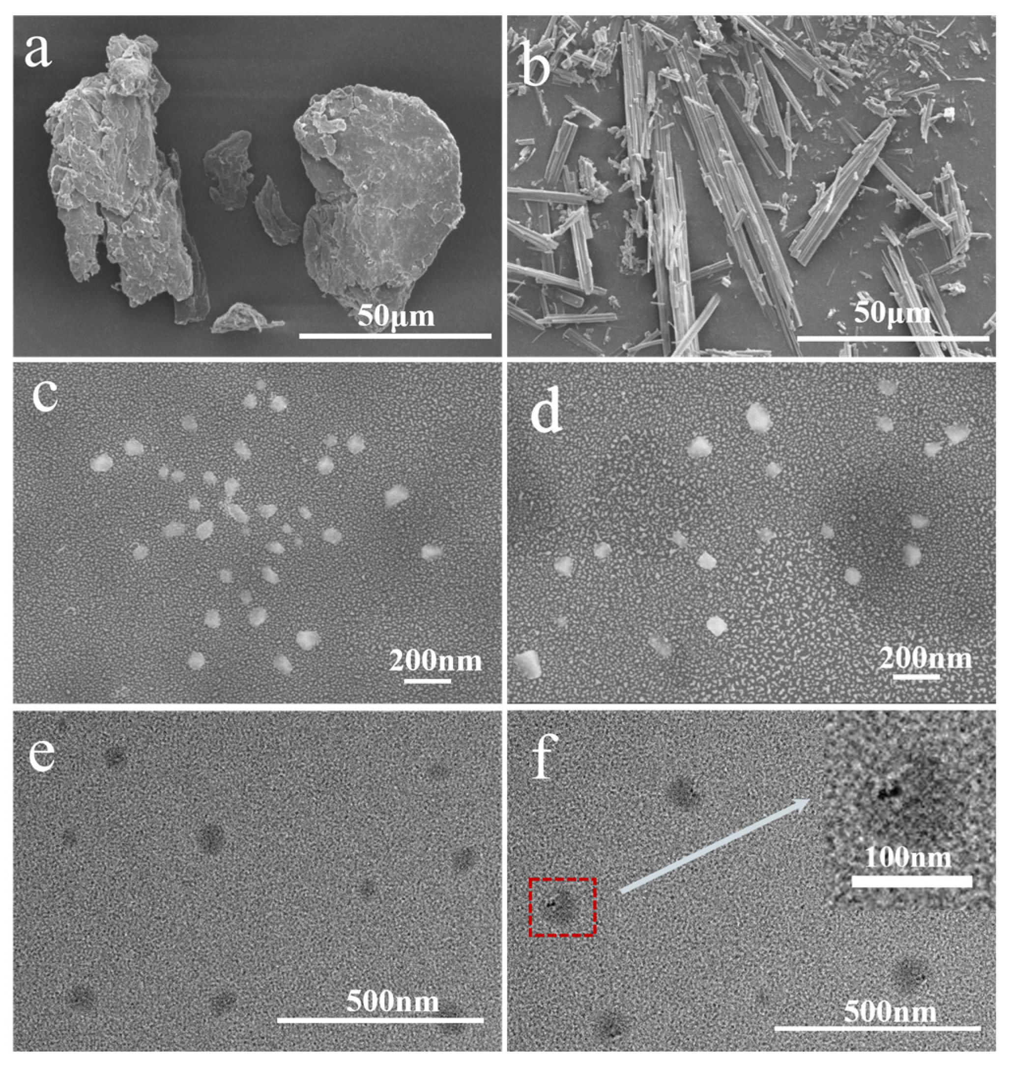 Polymers 17 03036 g002 Polymers 17 03036 g002