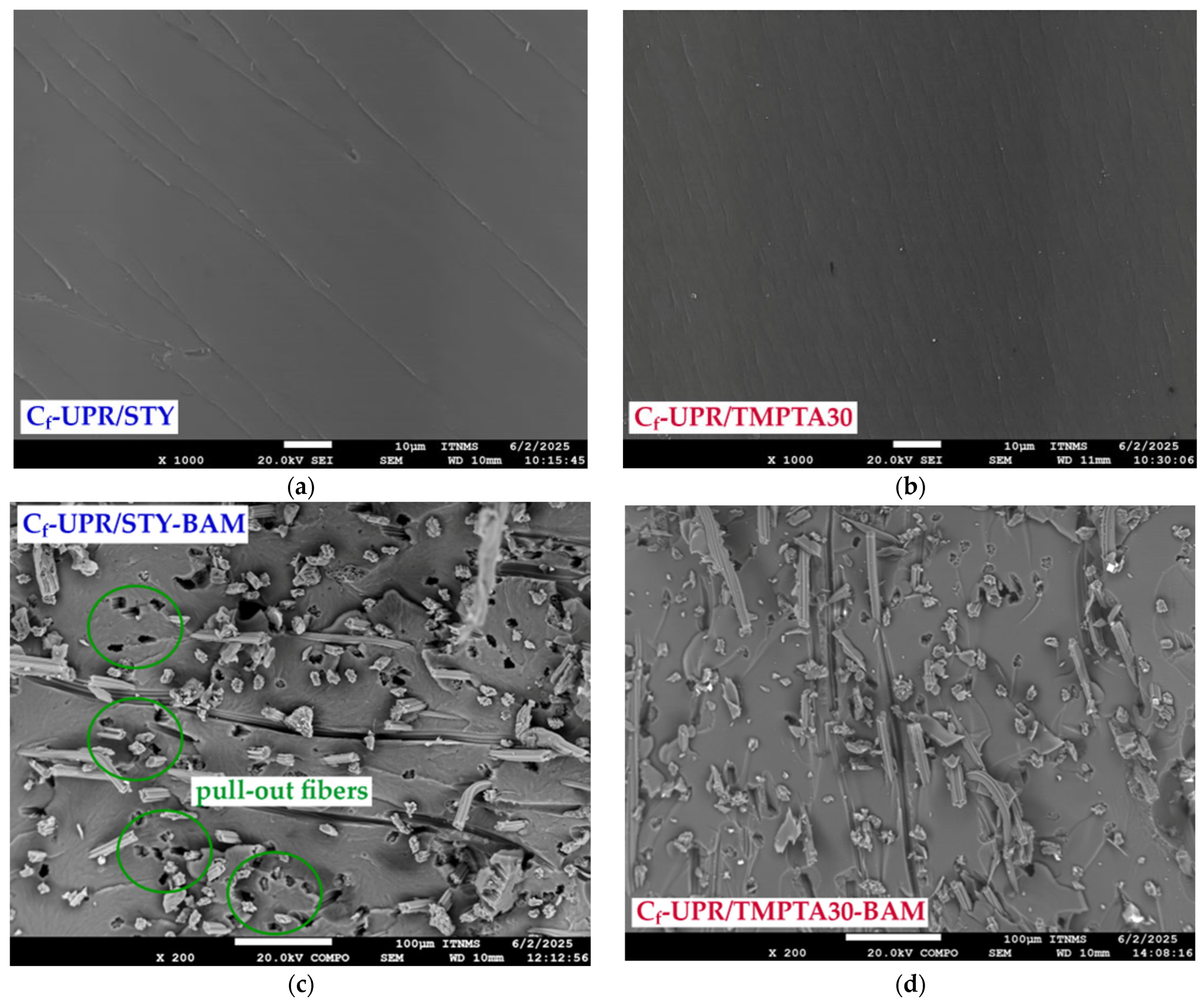 Polymers 17 03038 g009a