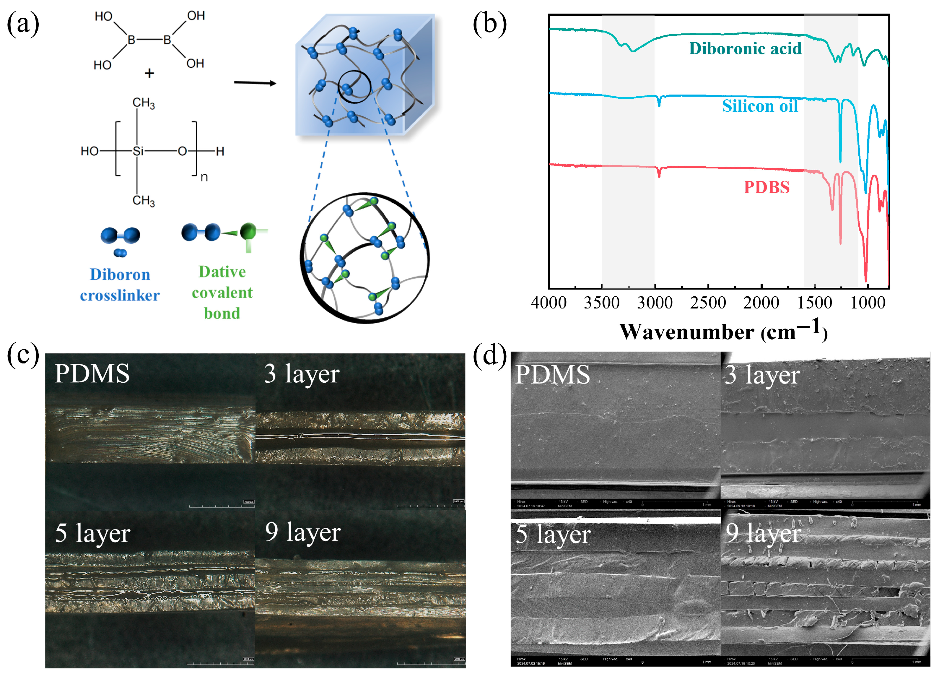 Polymers 17 03040 g003