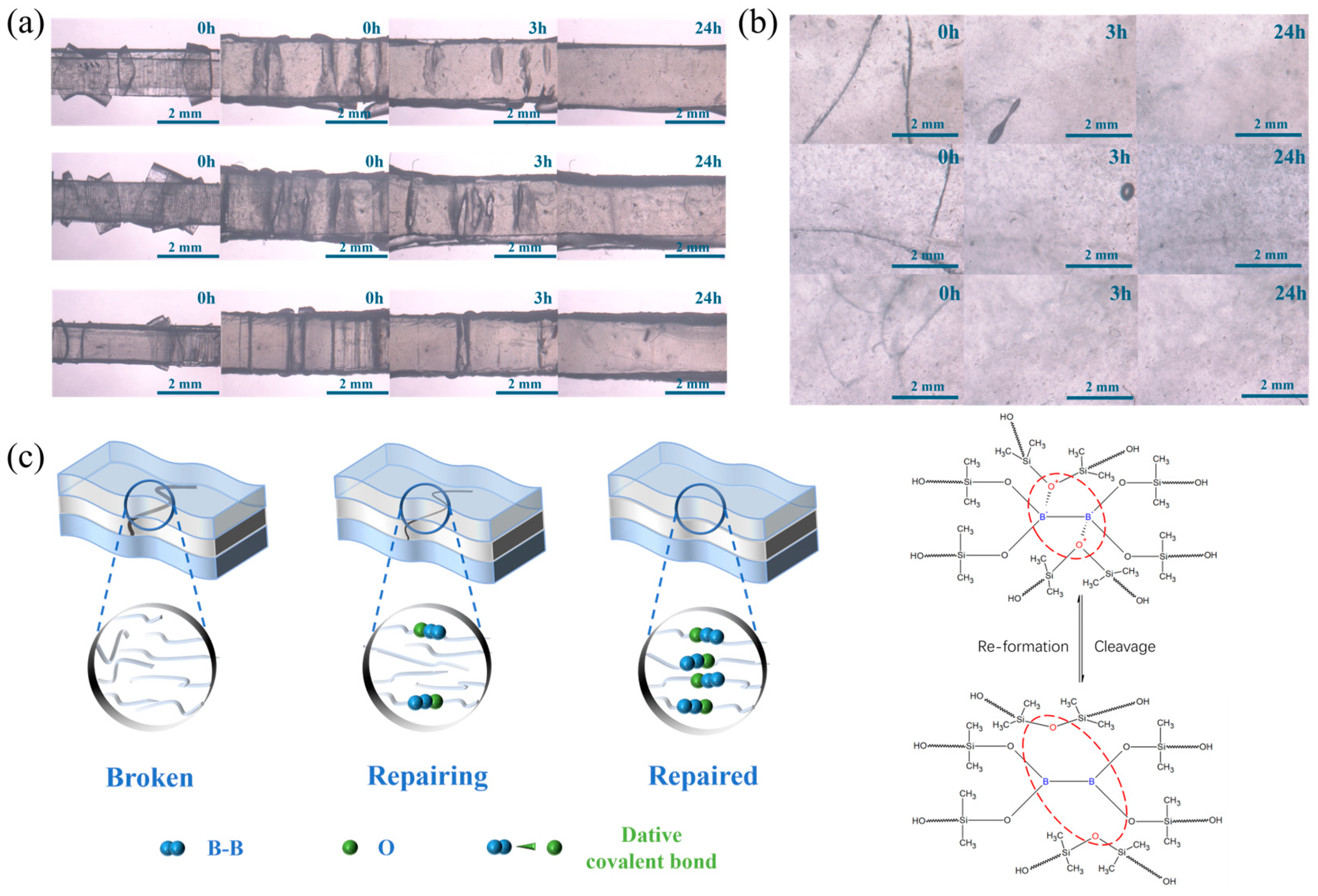 Polymers 17 03040 g004