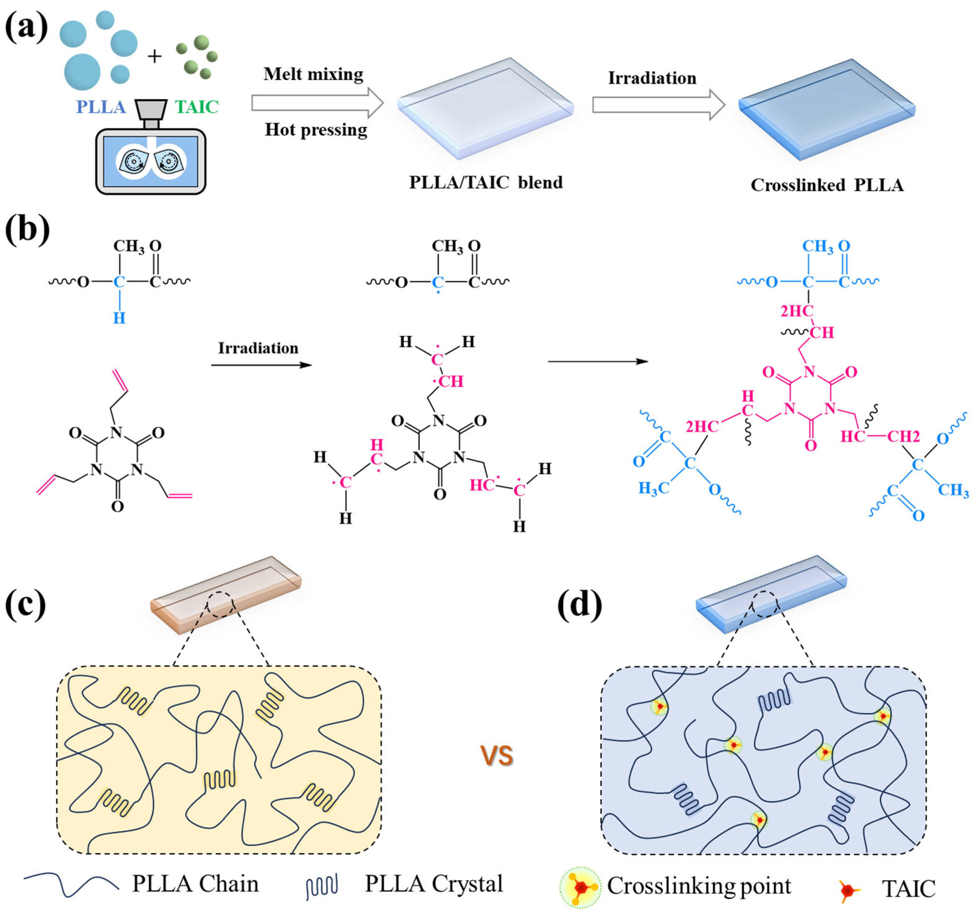 Polymers 17 03041 g001 Polymers 17 03041 g001
