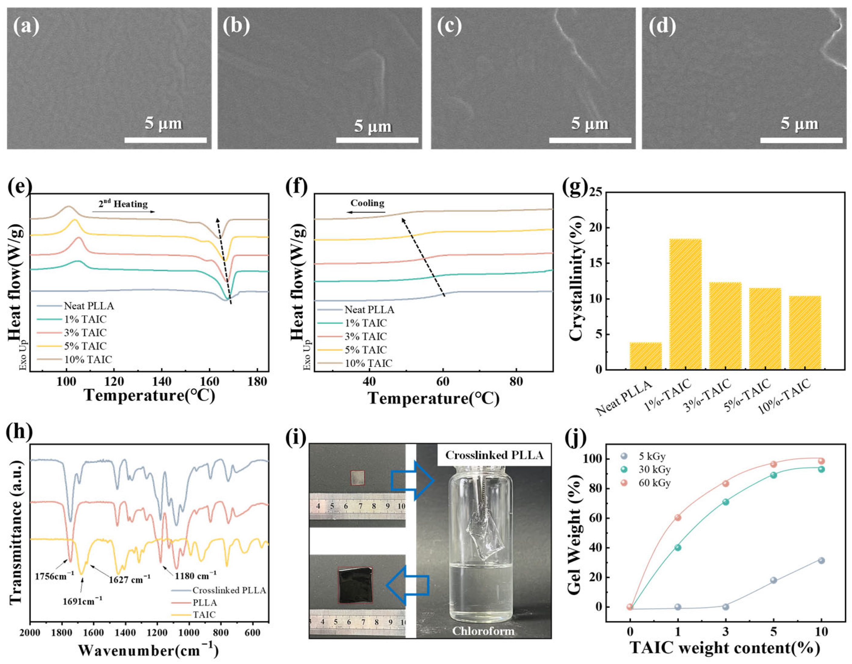 Polymers 17 03041 g002 Polymers 17 03041 g002