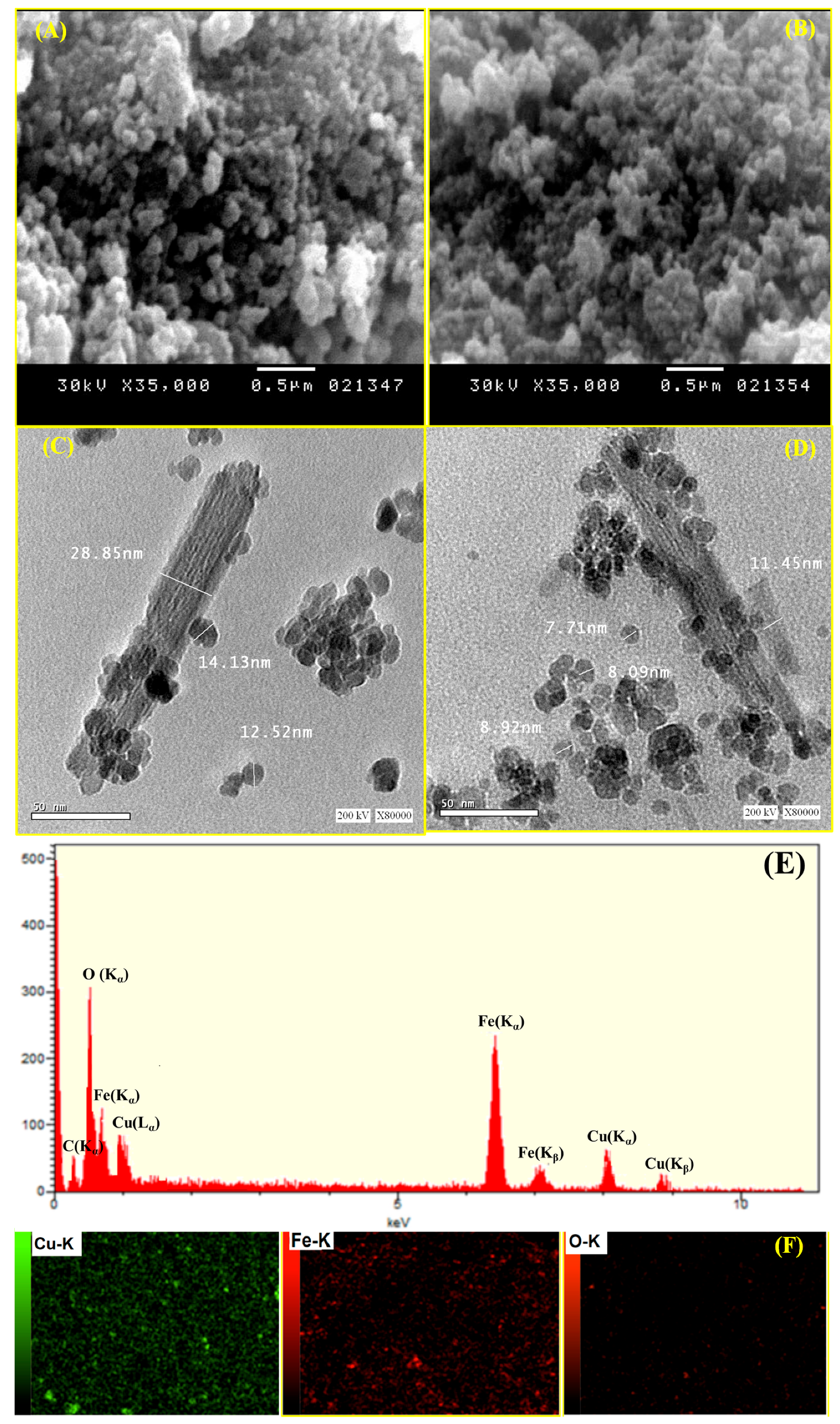 Polymers 17 03046 g002