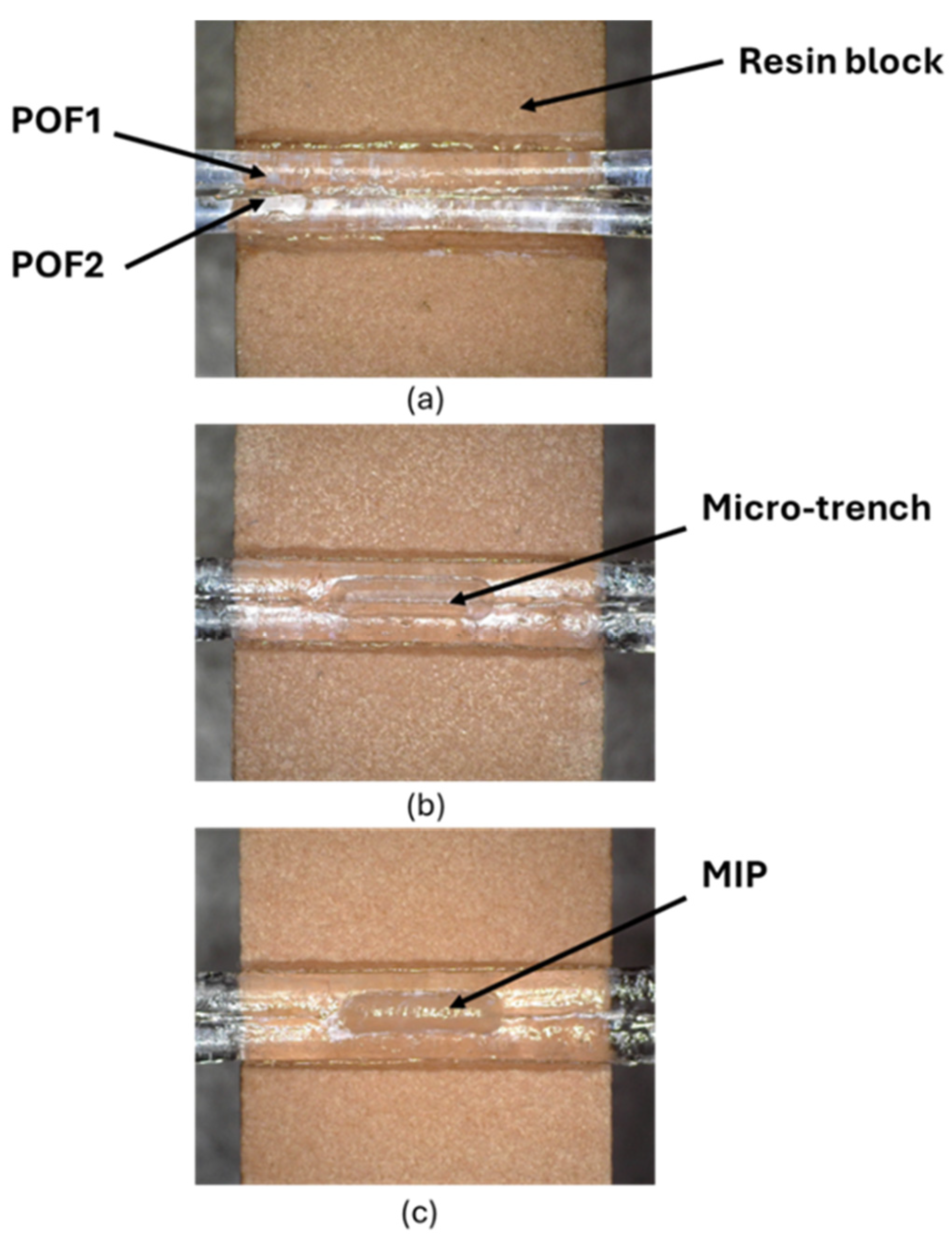 Polymers 17 03048 g002