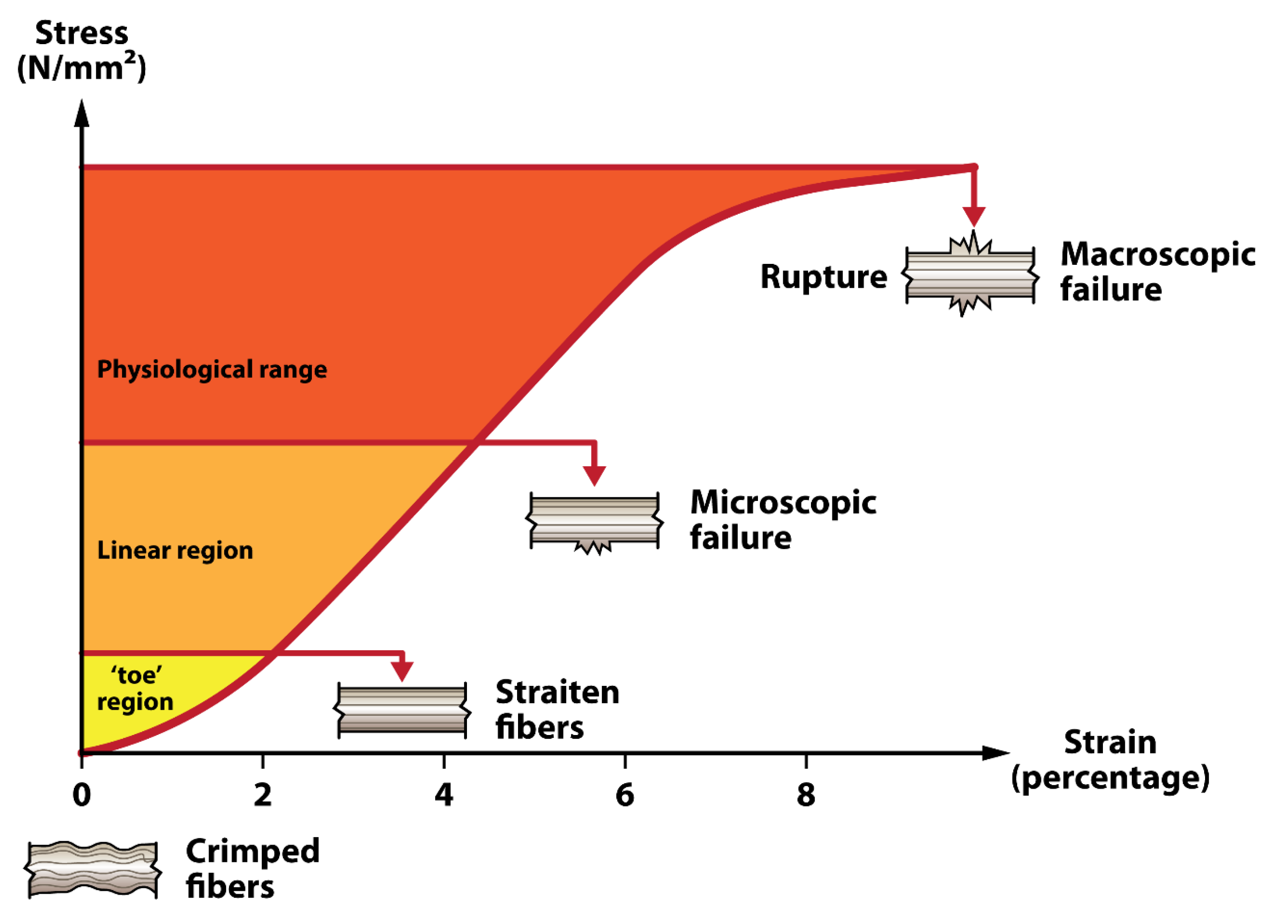 Polymers 17 03052 g003 Polymers 17 03052 g003
