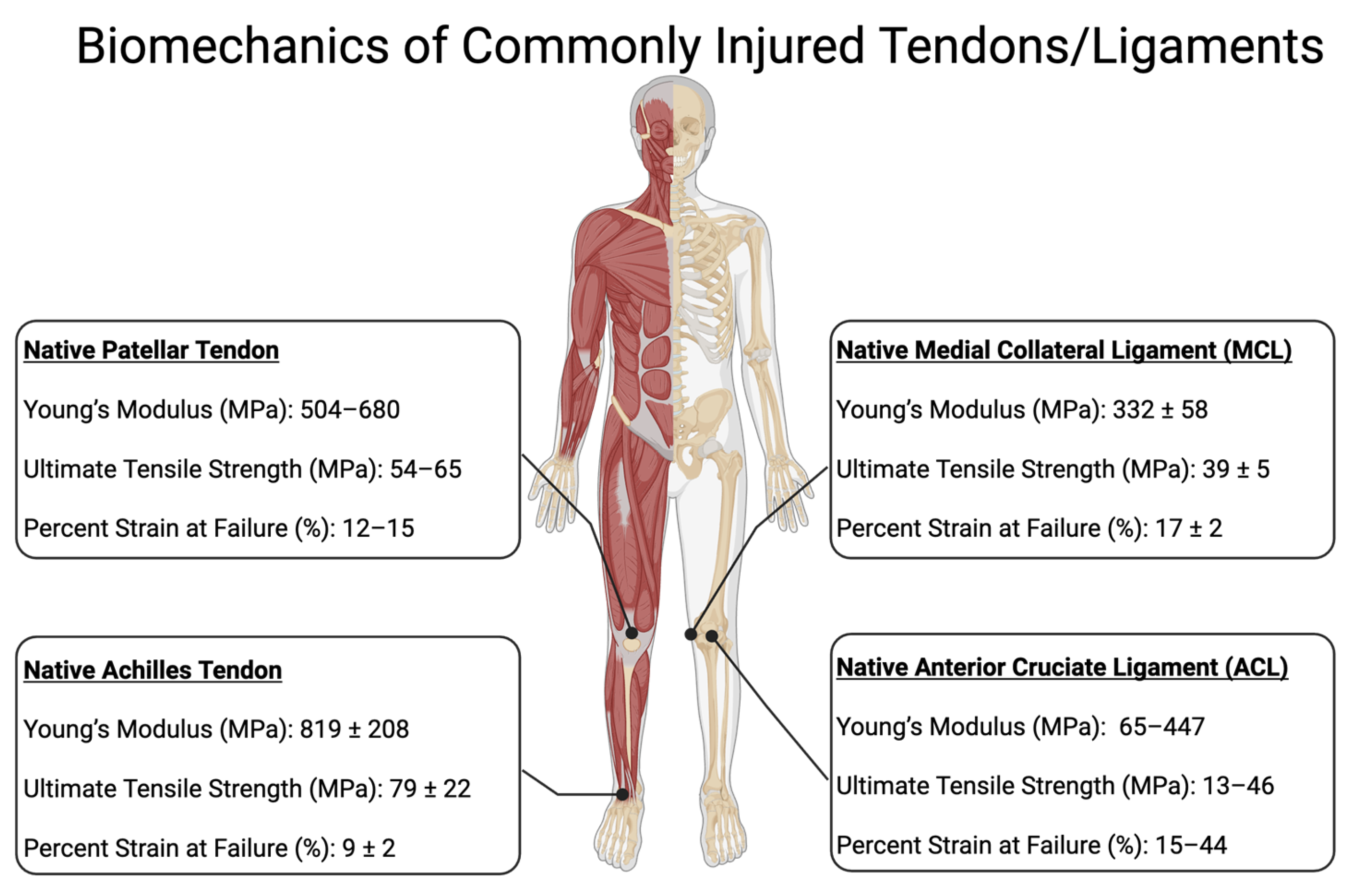 Polymers 17 03052 g004 Polymers 17 03052 g004