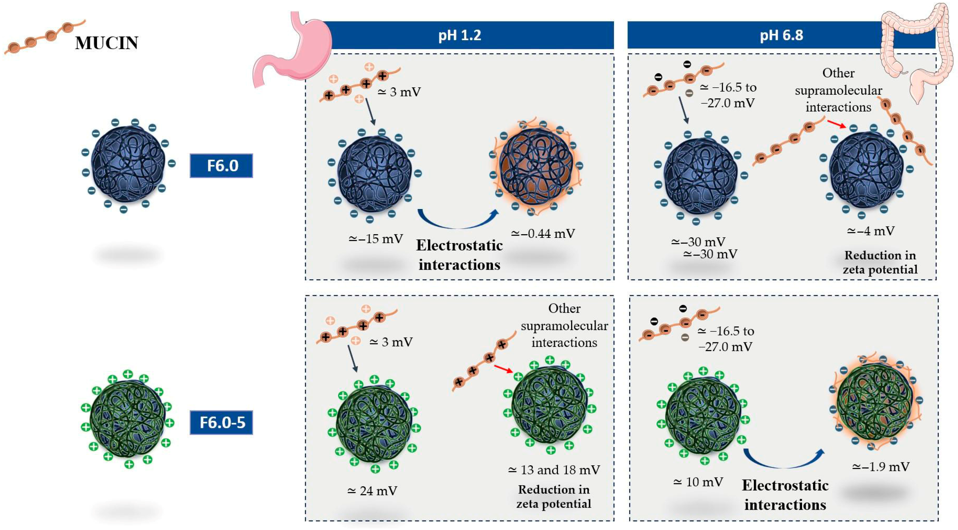 Polymers 17 03053 g008
