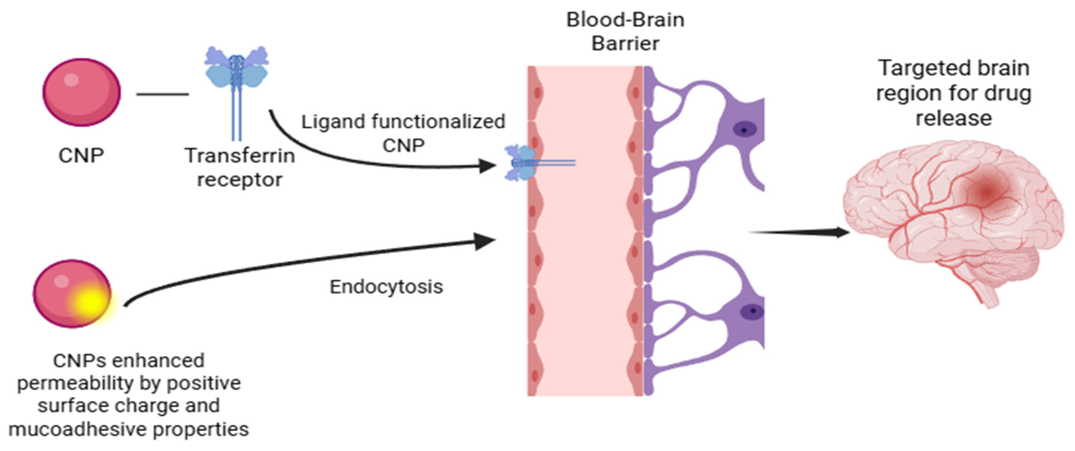 Polymers 17 03055 g001 Polymers 17 03055 g001