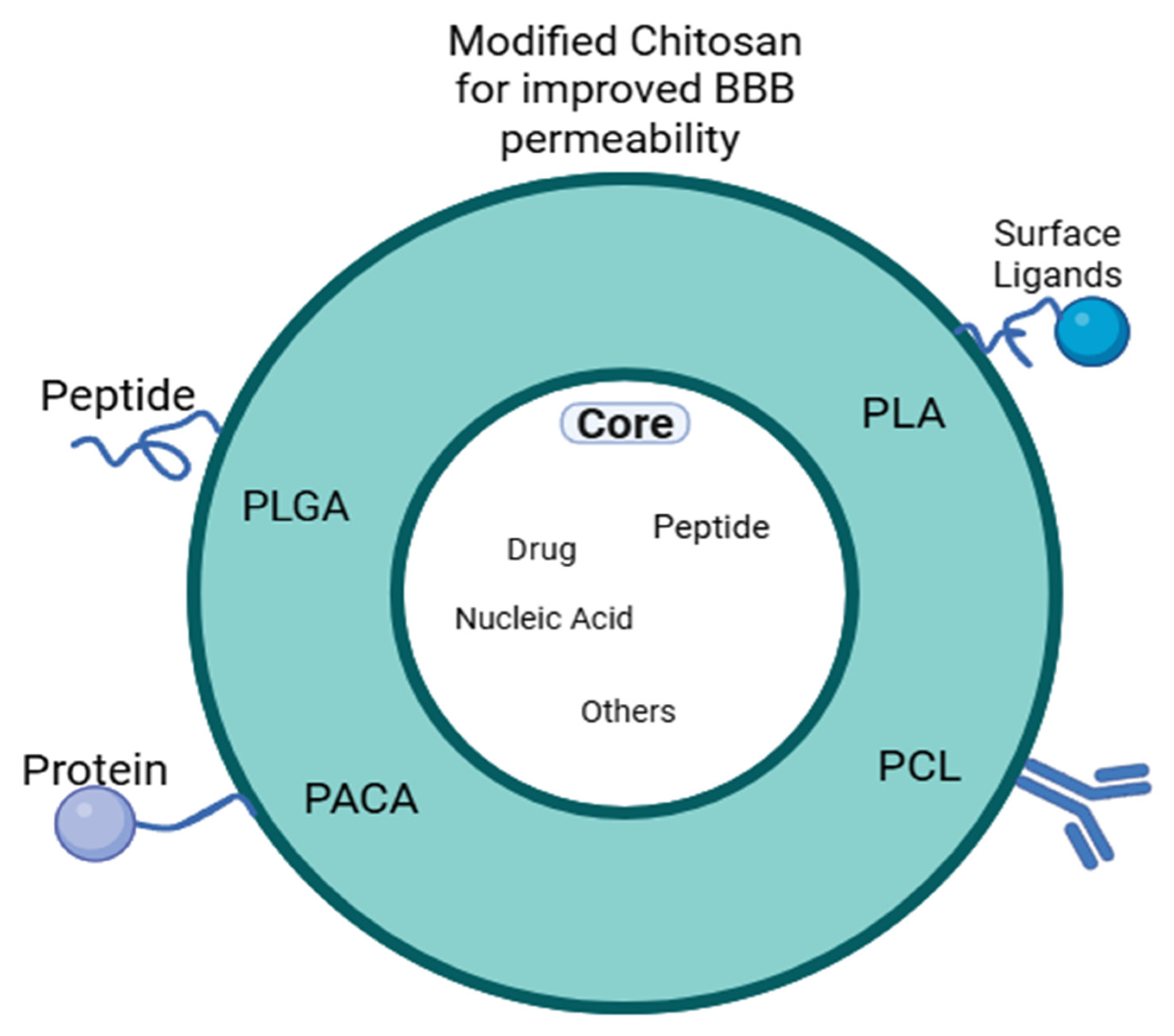 Polymers 17 03055 g002 Polymers 17 03055 g002