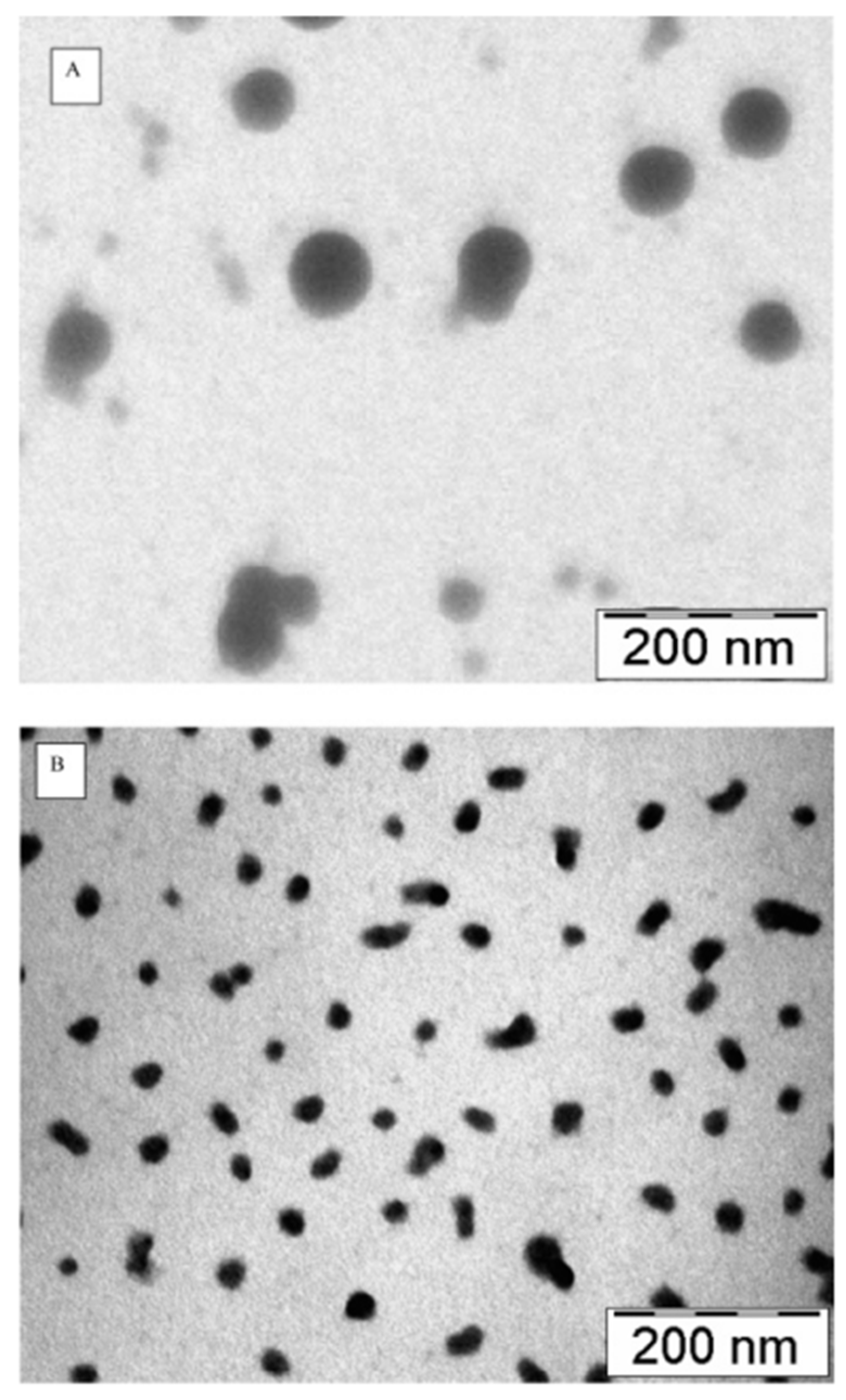 Polymers 17 03055 g004 Polymers 17 03055 g004