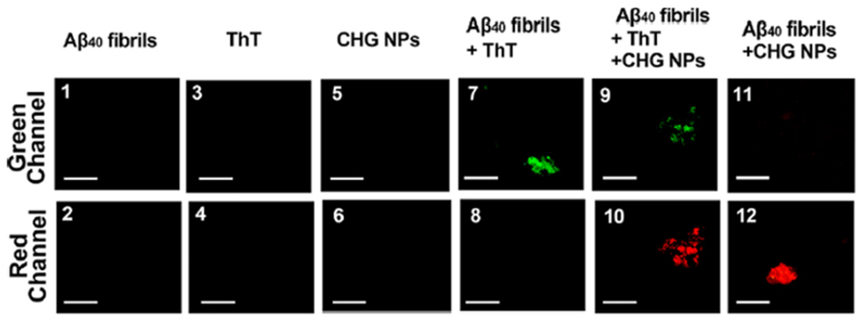 Polymers 17 03055 g005 Polymers 17 03055 g005