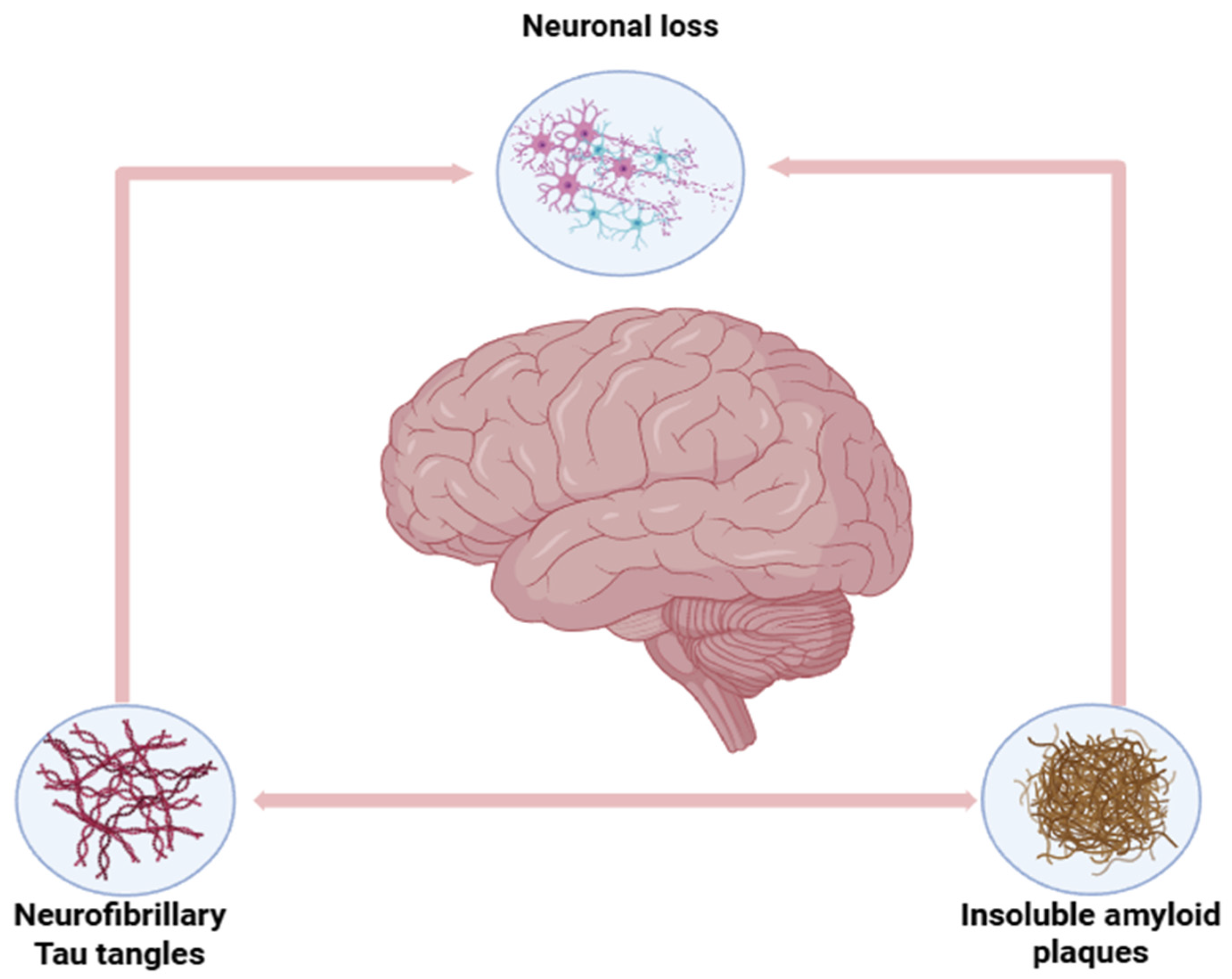 Polymers 17 03055 g006 Polymers 17 03055 g006