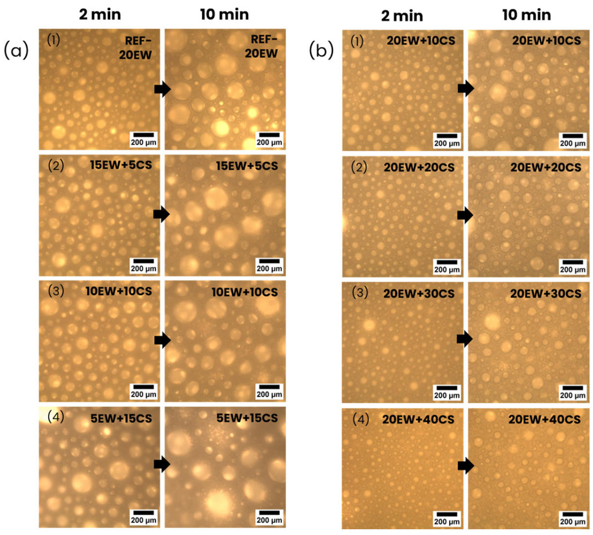 Polymers 17 03057 g006