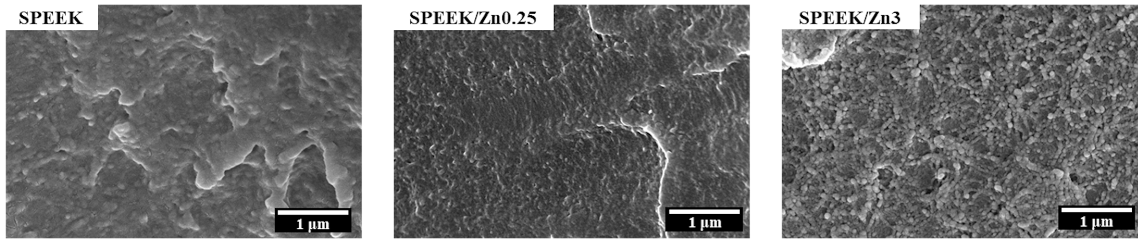 Polymers 17 03058 g002 Polymers 17 03058 g002