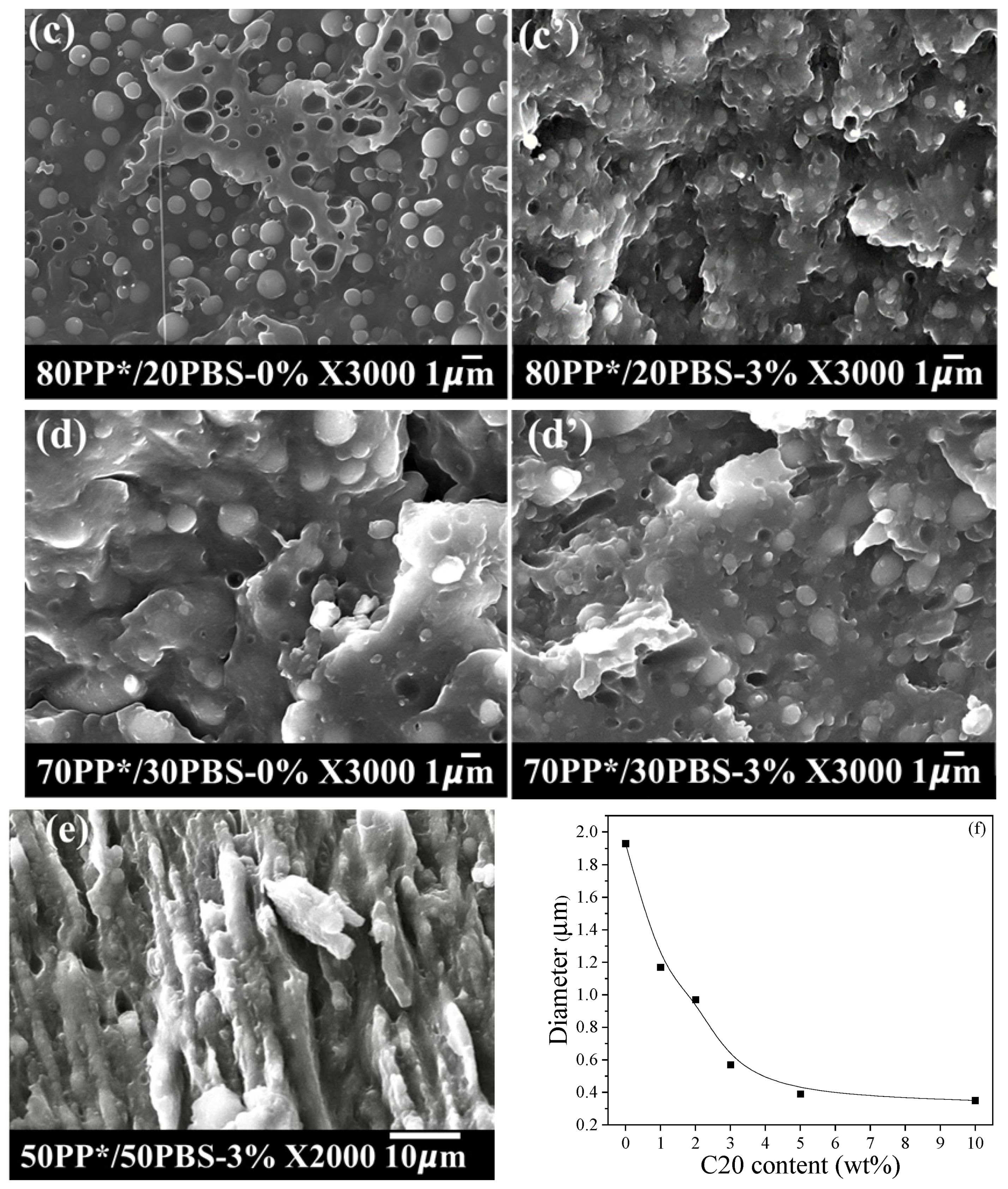 Polymers 17 03063 g001b