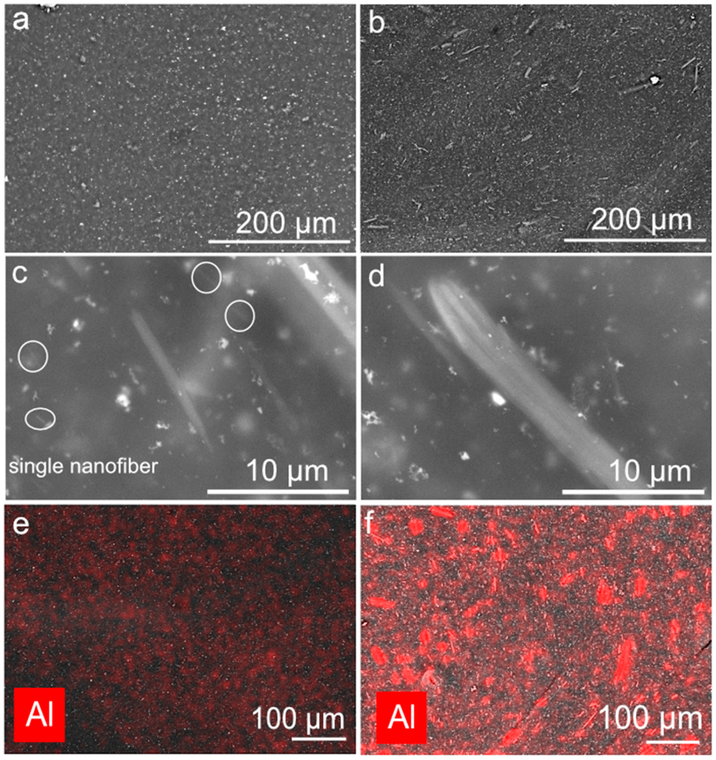 Polymers 17 03064 g003
