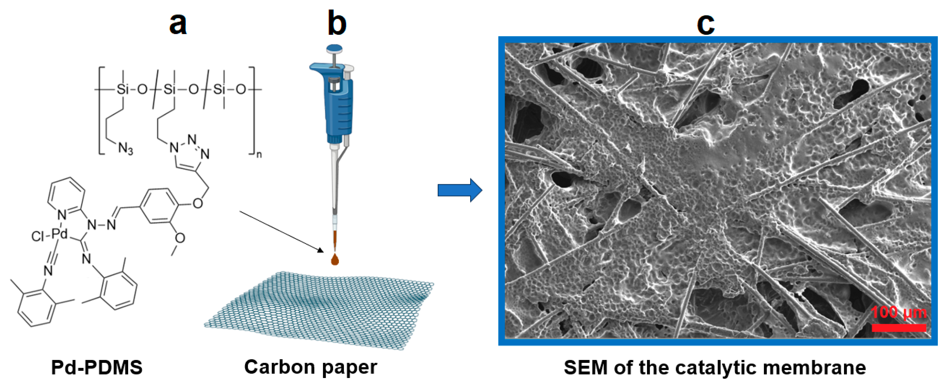 Polymers 17 03066 g001 Polymers 17 03066 g001
