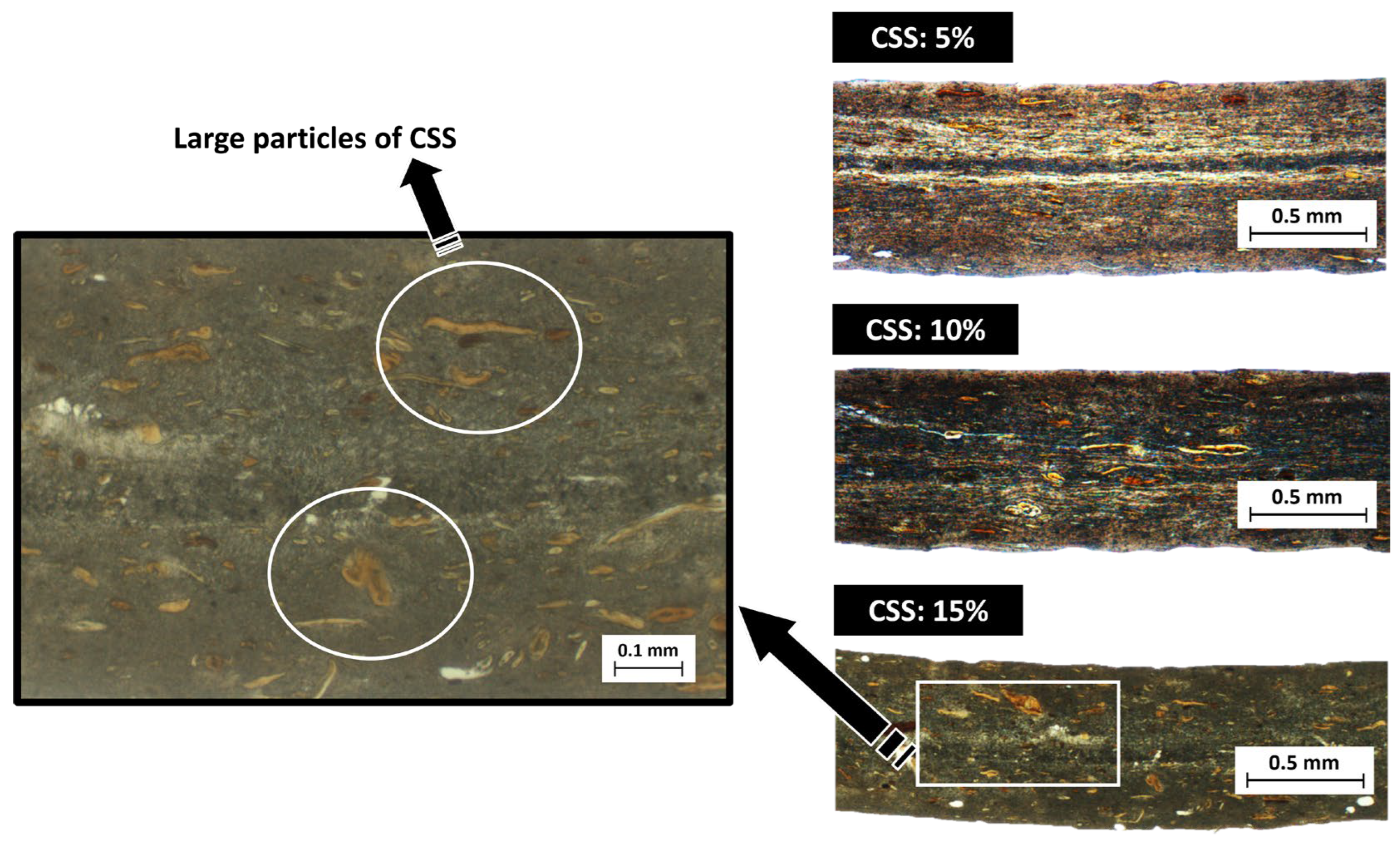 Polymers 17 03067 g003